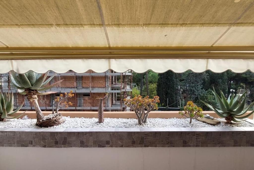 Ampio Monolocale Con Terrazzo - A 2 Passi Dal Mare Leilighet Latte Eksteriør bilde